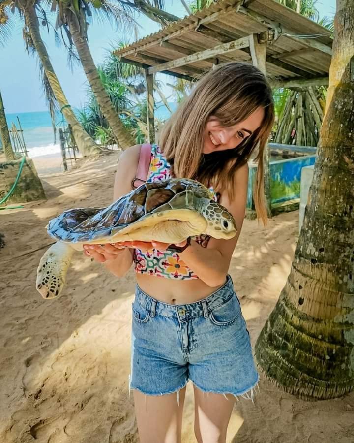 Ceylon Serenity Villas ベールワラ エクステリア 写真