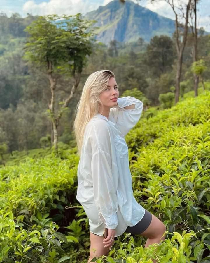 Ceylon Serenity Villas ベールワラ エクステリア 写真